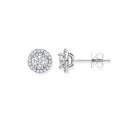 18ct White Gold Halo 0.50ctw Diamond Studs - Precise Jewellers