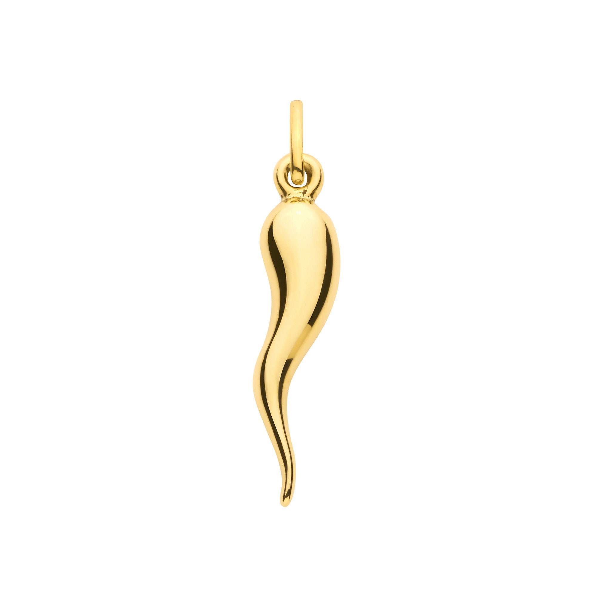 9ct Yellow Gold Horn of Life Pendant