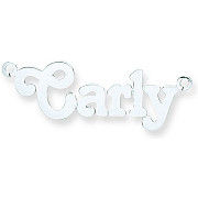 Silver Medium Terra Nameplate with 16"/18"/20" chain