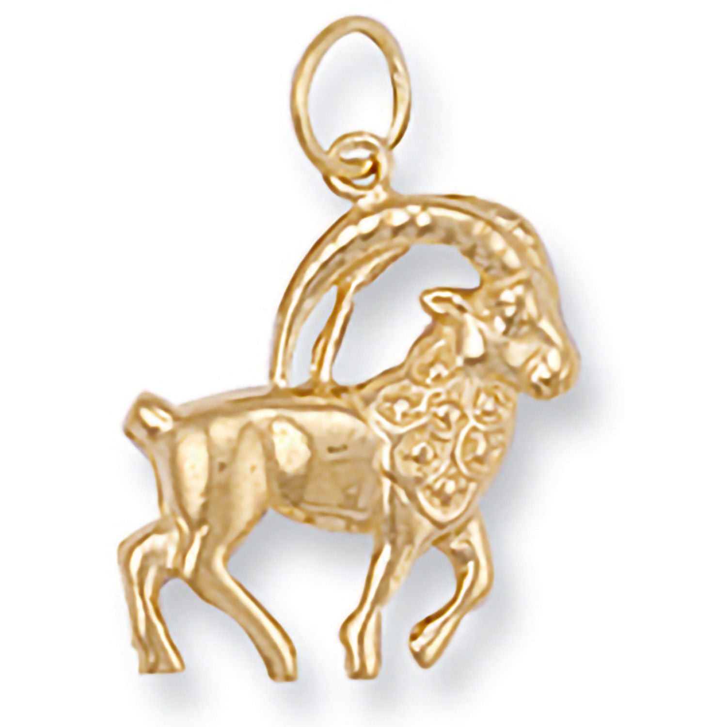 G Capricorn Zodiac Pendant